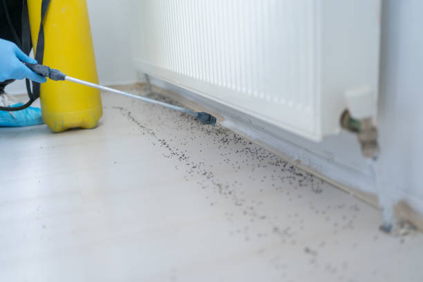 Best Best Pest Control Companies  in Bennett, CO