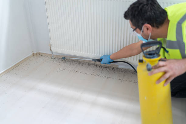 Professional Pest Control in Bennett, CO