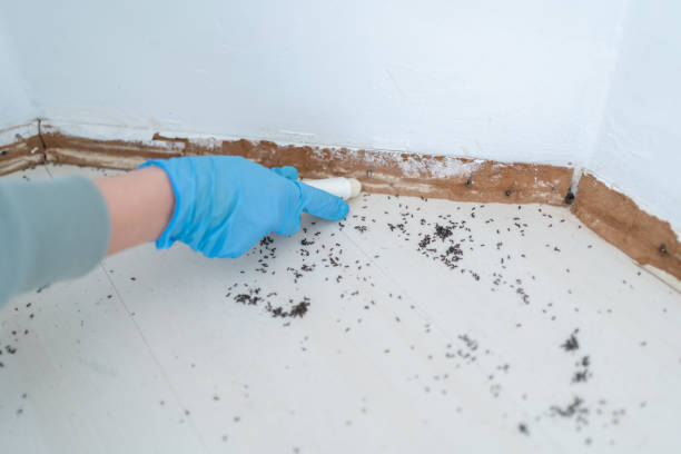 Best Commercial Pest Control Services  in Bennett, CO